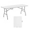 HDPE Folding Camping Table with Steel Legs, Carry Handle and Locking Design